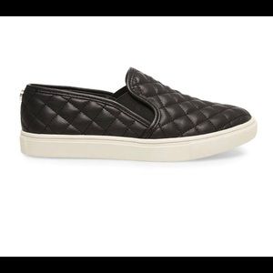 Black Steve Madden Ecentrcq Sneaker